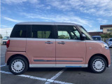 ムーヴキャンバス  ストライプス G