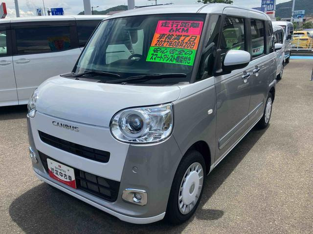 ムーヴキャンバス  ストライプス G