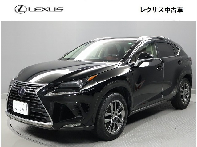 NX300h