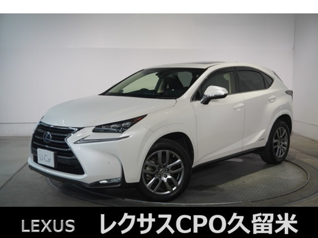 NX 300h Iパッケージ 