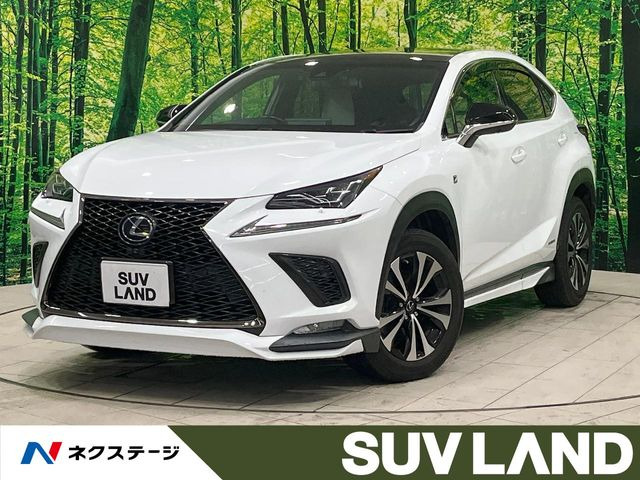 NX300h Fスポーツ