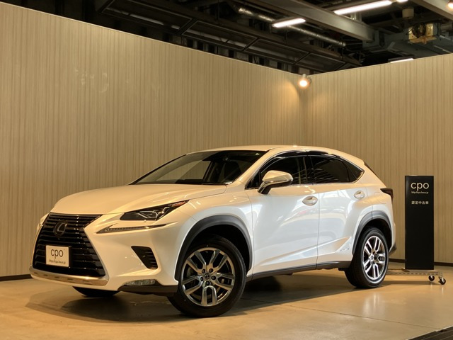 NX300h バージョンL 4WD