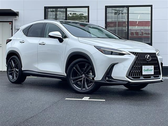 NX 250 バージョンL 本革シート サンルーフ