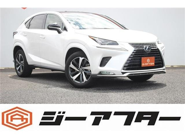 NX300 スパイス&シックパノラマルーフ3眼LED温熱黒革10.3型ナビTV