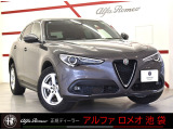 人気のヴェズヴィオグレー STELVIOスプリント入庫しました!