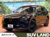純正10型ナビ 全周囲カメラ DVD再生 ブラインドスポットモニター