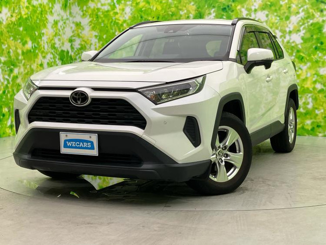 RAV42.0 X