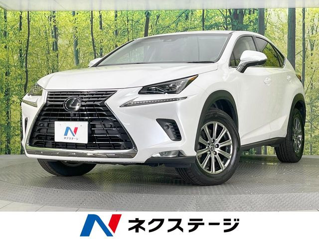 NX 200t Iパッケージ 