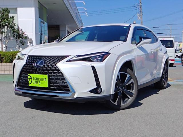 UX250h バージョンL
