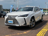 UX 250h グレイスフル エクスプローラー 