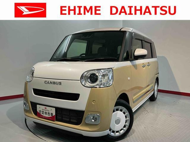 ムーヴキャンバス  ストライプス G