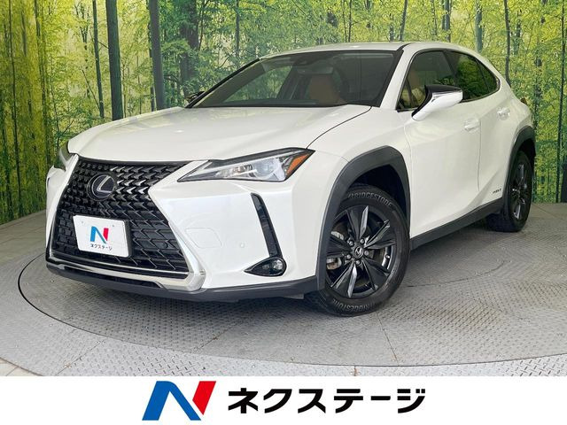 UX250h バージョンC