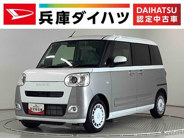 ムーヴキャンバス ストライプス G