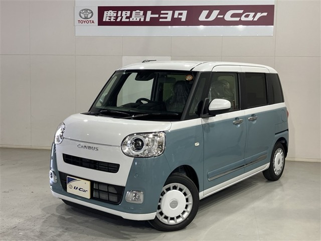 ムーヴキャンバス  ストライプス G