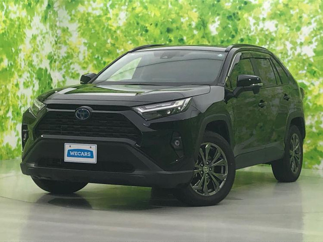 【中古】 デンジャラスラブ ４/松文館 2025年最新】Yahoo!オークション - トヨタ RAV4 - 中古車・新車