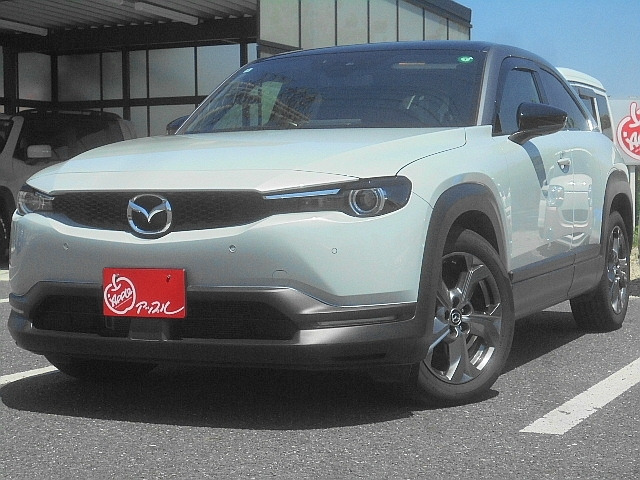 MX-302.0 4WD