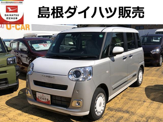 ムーヴキャンバス  ストライプス G