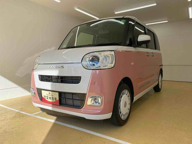 ムーヴキャンバス  ストライプス G