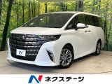 ガラスルーフ 純正14型ナビ フリップダウンモニター 全周囲カメラ