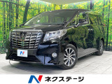 バックカメラ 両側電動スライドドア レーダークルーズ 電動リアゲート
