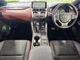 NX 300h スパイス&シック 