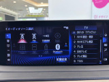 掲載箇所以外にご希望の写真がございましたら、お気軽にお問い合わせ下さい!メールや郵送でお送りさせていただきます。