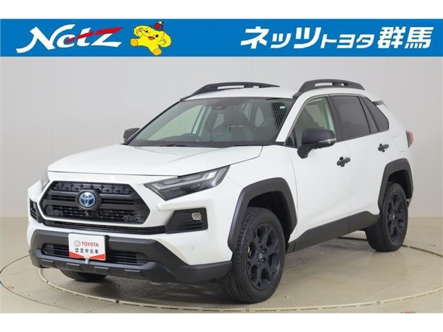 RAV4 2.5 ハイブリッド アドベンチャー オフロードパッケージ II E-Four 4WD 