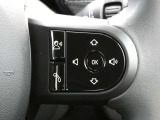 ハンドルから手を離すことなくオーディオの音量調整などが可能です!