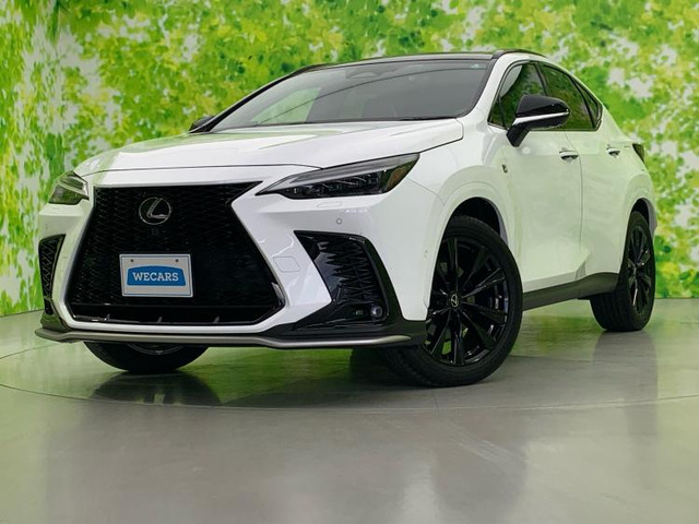 NX350h Fスポーツ