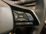 プロパイロット付いてます。長距離運転でも疲労半減。