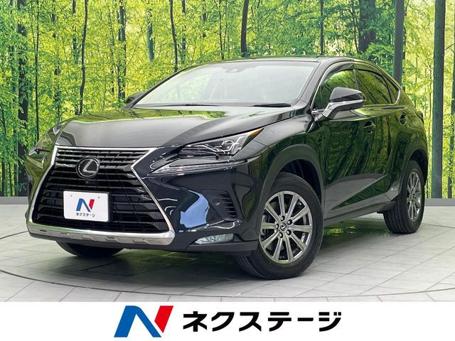 NX 300h Iパッケージ 