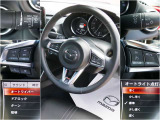 運転の邪魔をしないながらも、運転手周りに集められたスイッチ類。手放しやわき見運転することなく設定等が可能で安全快適運転に役立ちます