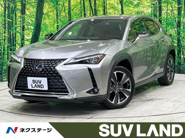 UX 250h バージョンL 