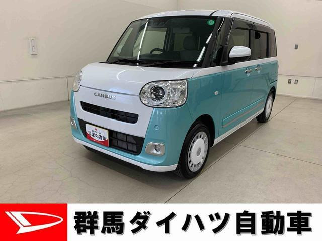 ムーヴキャンバス ストライプス G