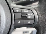 【アダプティブクルーズコントロール】予め設定した車速内でクルマが自動的に加減速。前走車との適切な車間距離を維持しながら追従走行します。【LKAS】車線維持支援システムでステアリング操作を支援。