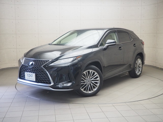 RX300