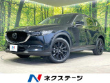 衝突軽減 純正10.25型ナビ 全周囲カメラ 電動リアゲート ETC