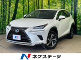 沖縄県内での販売・登録が条件※宮古島除く