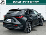 NX 250 バージョンL NX 250 バージョンL