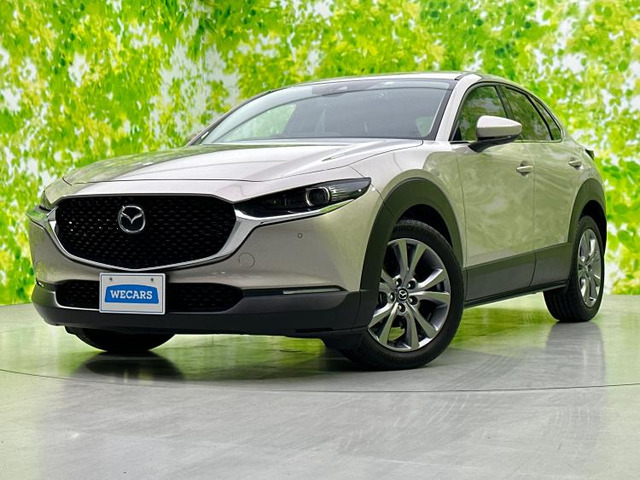 CX-302.0 20S プロアクティブ ツーリングセレクション