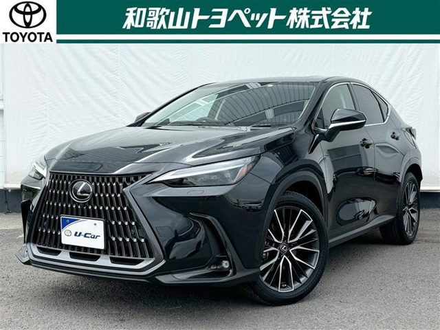 NX 250 バージョンL NX 250 バージョンL