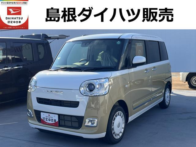 ムーヴキャンバス  ストライプス G