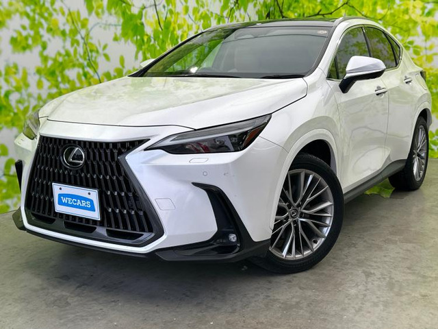 NX250 バージョンL