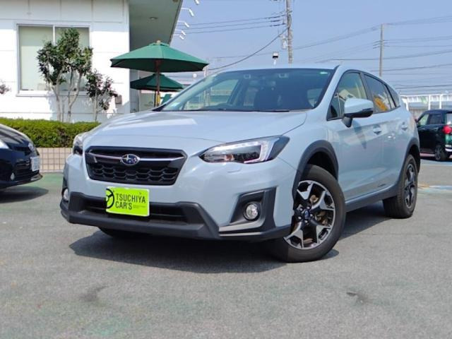 XV  