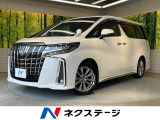 レーダークルーズ 禁煙車 電動リアゲート ハーフレザーシート ドラレコ