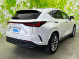 NX 250 バージョンL 