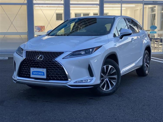 RX 300 