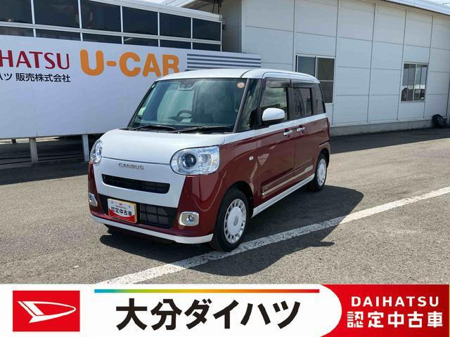 ムーヴキャンバス  ストライプス G