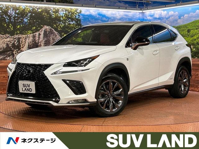 NX 300h Fスポーツ 