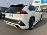 RAV4 2.0 X 